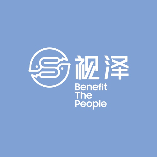 宁夏视泽logo设计方案二，老谋子logo设计案例，深圳logo设计公司